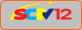 K&ecirc;nh SCTV12